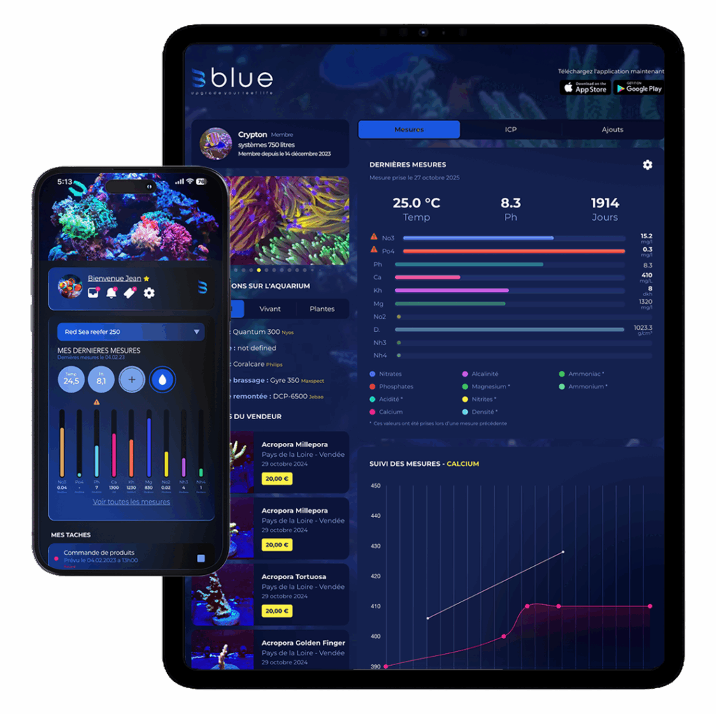 Blue App Interface