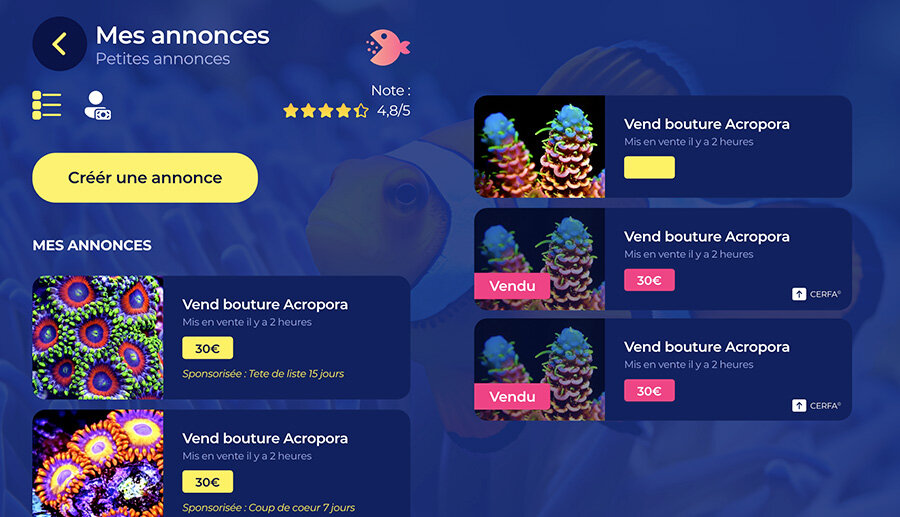 Connectez-vous avec la communauté