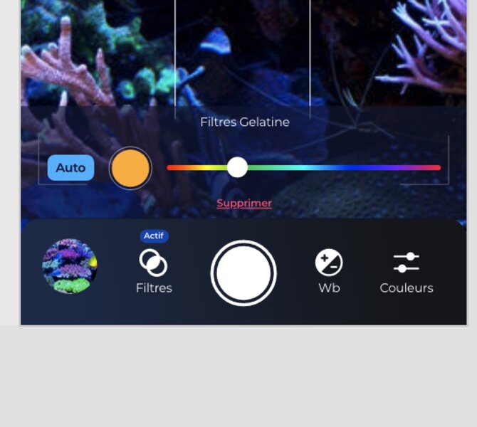 Reef Camera