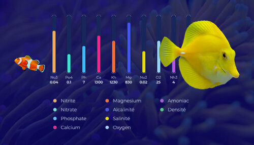 Mesurez et suivez l'évolution