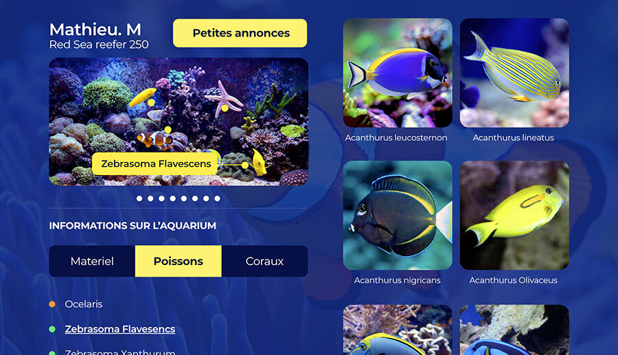 Pas un simple Partage